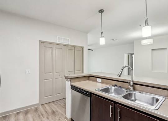 Royal Palm kitchen with a stainless steel dishwasher and a sink with a modern design at Oakleaf Plantation apartments in Jacksonville, FL.