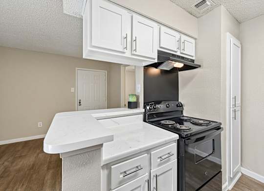 Unit A kitchen at Hollows in San Antonio, TX