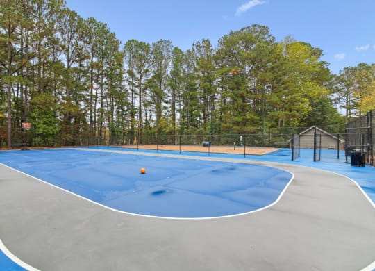 a basketball court at a park with trees in the background at Woodmere Trace at Duluth, GA