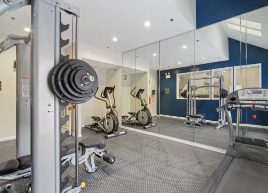 Gym with full length wall mirror at Woodmere Trace at Duluth, GA