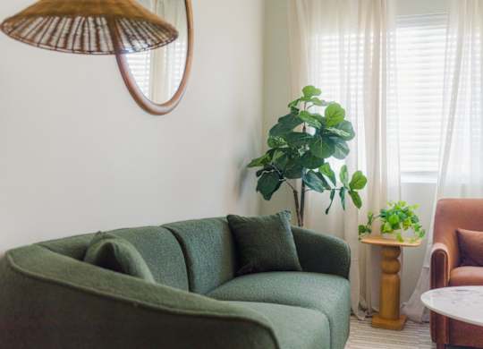 A living room with a green couch and a potted plant.