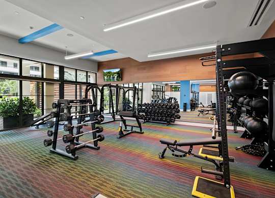 A gym with a variety of equipment including weights and weight machines.