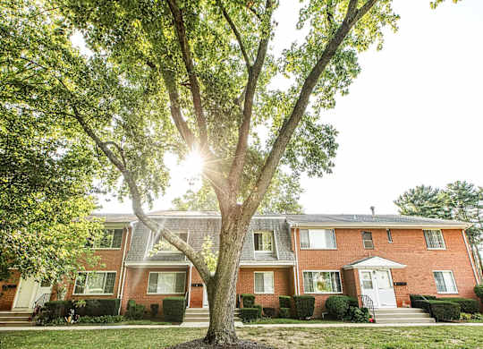 A tree stands in front of a red brick house.