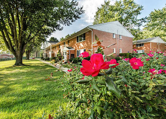 A red flower in front of a house.