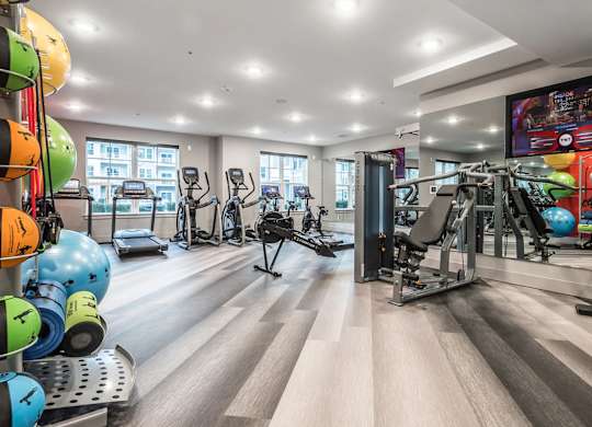 A gym with a variety of exercise equipment and colorful exercise balls.
