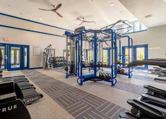 A gym with a variety of equipment including a squat rack, bench, and weights.
