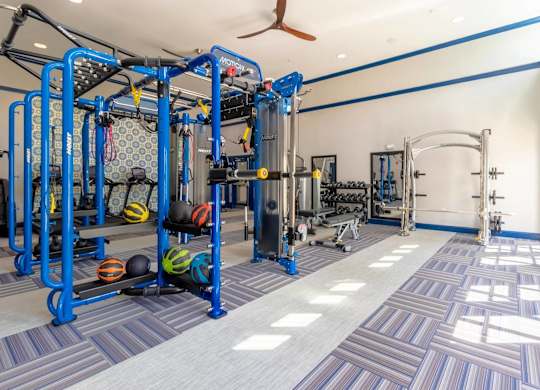 A gym with blue and white equipment.