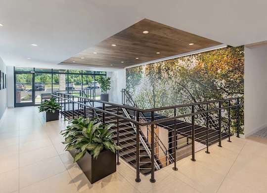 A staircase with a metal railing and a plant on the left side.