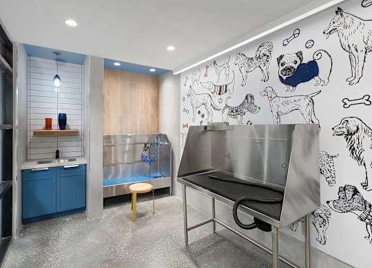 A dog grooming area with a bench and a wall with dog drawings.
