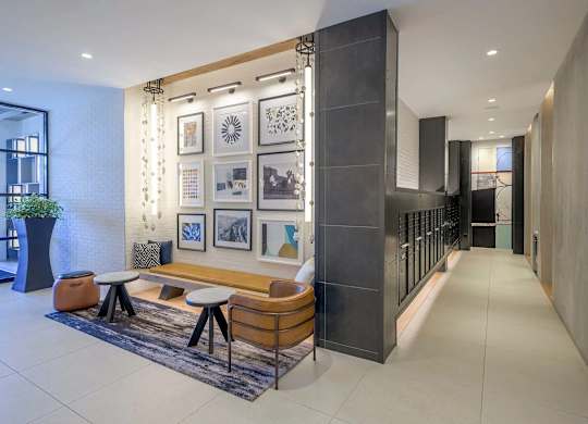 A modern lobby with a wooden bench, a potted plant, and framed pictures on the wall.