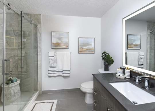 Apartment Bathroom