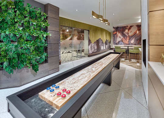 Shuffleboard
