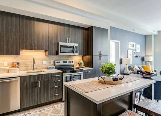 Apartment Kitchen