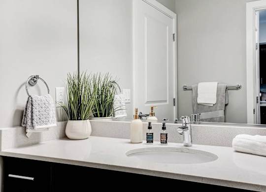 Apartment Bathroom