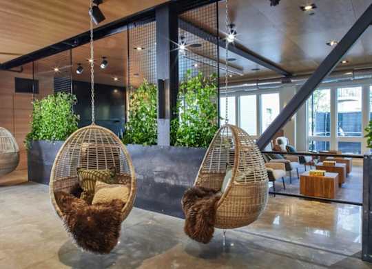 A room with hanging chairs and plants.