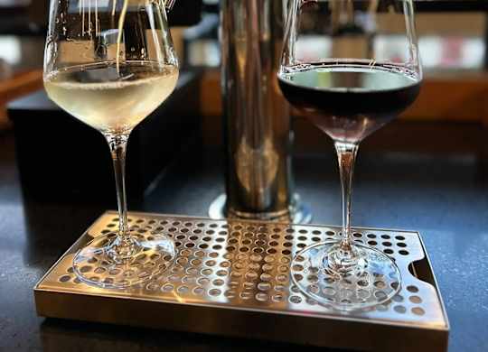 Two wine glasses, one with white wine and the other with red wine, are placed on a metal tray next to a beer tap.