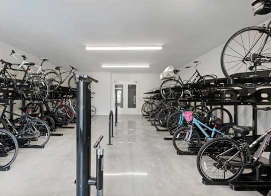 A bike shop with many bikes on stands.