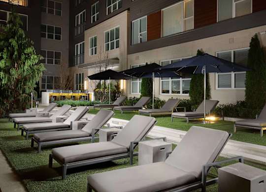 A row of lounge chairs are set up on a lawn.