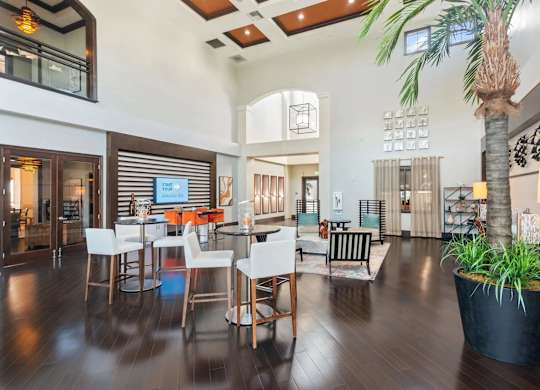 A large room with a palm tree in a pot and a dining table with chairs.