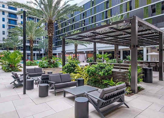 A patio with a table and chairs and a palm tree.