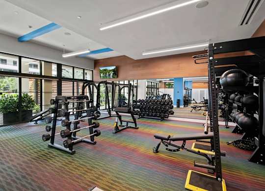 A gym with a variety of equipment including weights and weight machines.