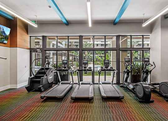 A gym with treadmills, elliptical machines, and exercise bikes.