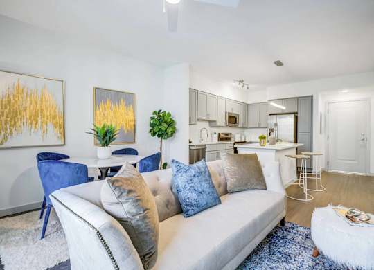 Apartment Living Room