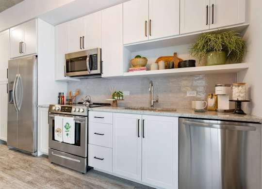 Apartment Kitchen