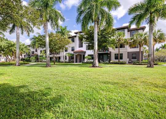 A row of houses with palm trees in front.