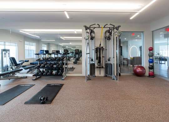 A gym with a variety of equipment including treadmills, weights, and exercise balls.