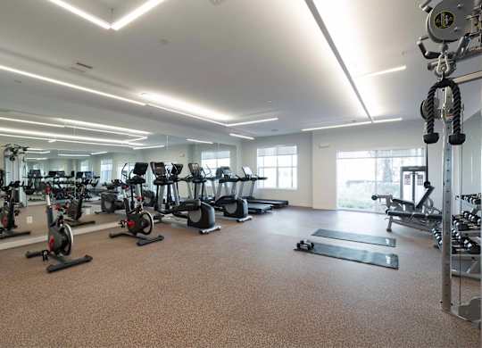 A gym with a variety of exercise equipment including treadmills, stationary bikes, and weight machines.