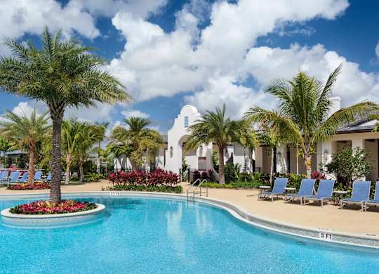 A pool surrounded by palm trees and lounge chairs.