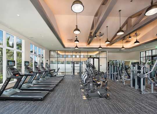 A gym with treadmills and elliptical machines.