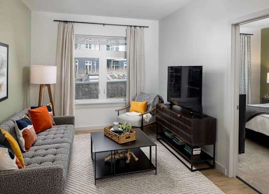 A living room with a grey couch, a black coffee table, and a television.