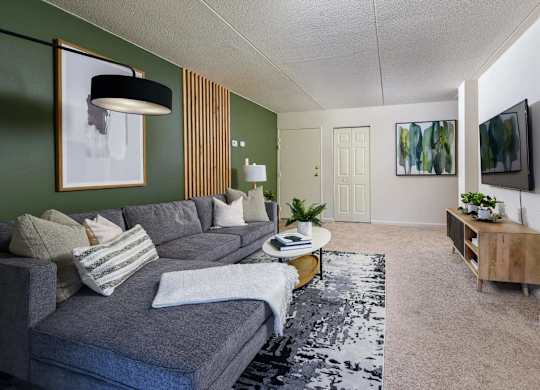 A living room with a grey couch and a black and white rug.
