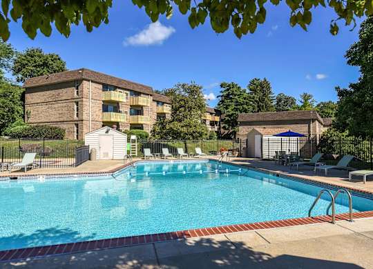 A swimming pool surrounded by lounge chairs and trees.