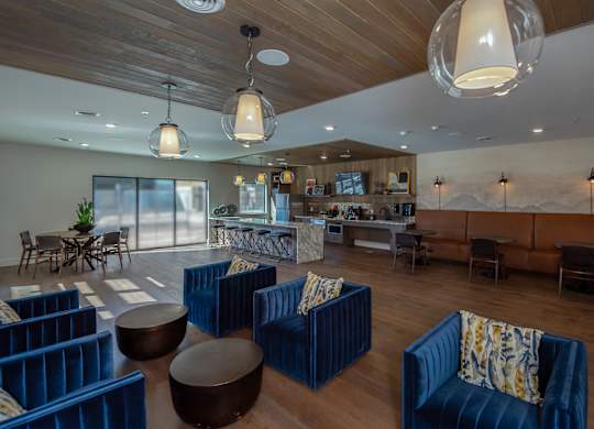 A modern living room with blue chairs and wooden floors.