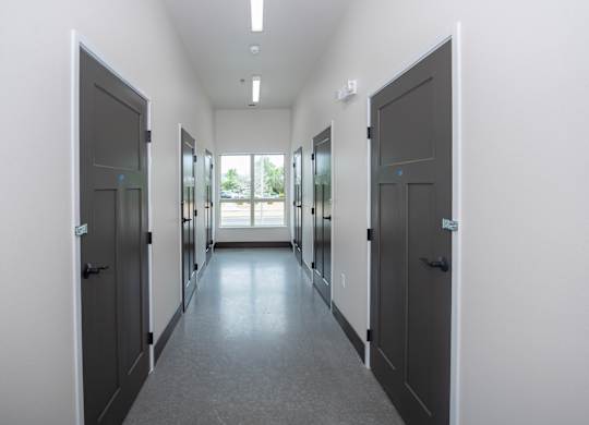 A long hallway with doors on both sides and windows in the distance.