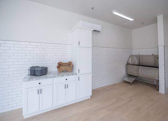 A white kitchen with a marble countertop and a dog bone on it.