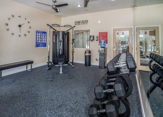 A gym with a row of dumbbells on the right and a bench on the left.
