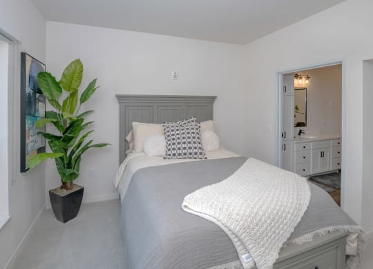 a bedroom with a bed and a potted plant at The Crossings  at Windsong, Prescott Valley