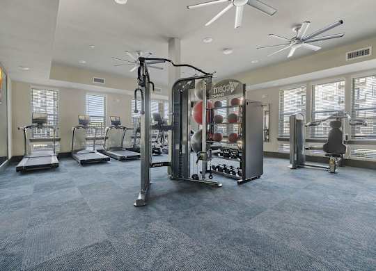 A gym with a variety of equipment including treadmills, weights, and a squat rack.