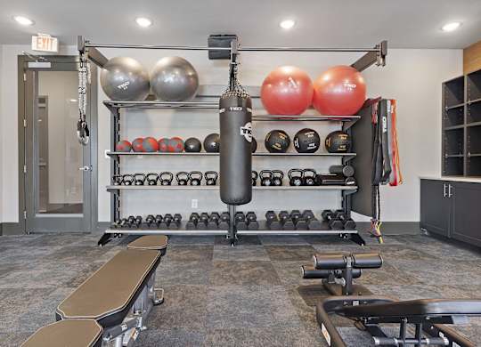A gym with a bench, weights, and a punching bag.