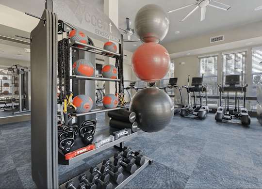 A gym with a variety of equipment including dumbbells, kettlebells, and weight plates.