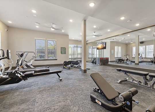 A spacious gym with a variety of equipment including treadmills, weight benches, and a television.