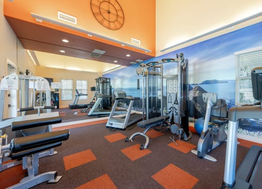 a gym with cardio equipment and a wall mural of the ocean