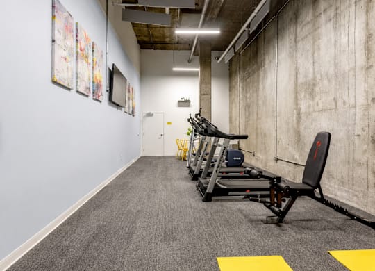 A gym with a row of treadmills and exercise equipment.