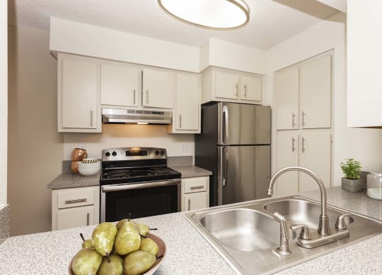 Stainless Steel Sink With In Kitchen at The Villages Apartment of Banyan Grove, Boynton Beach, FL