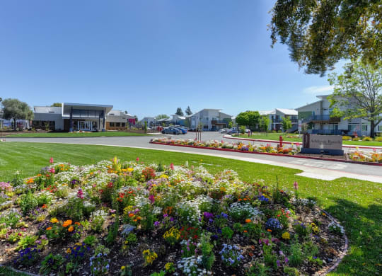 Outdoor Space with Flower Bed, Grass, Addison Ranch Sign, and Cars at Addison Ranch Apartments, Petaluma, 94954