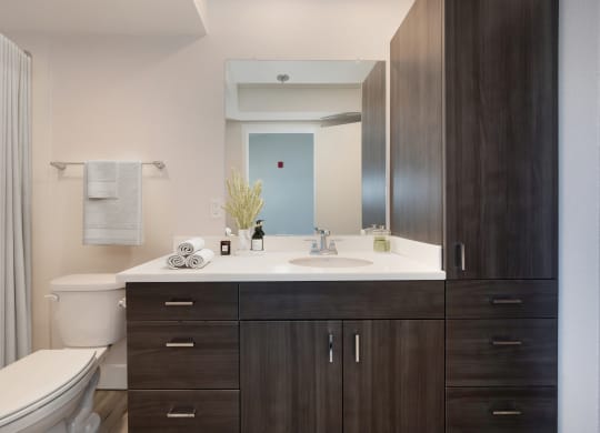 a bathroom with a sink and a toilet and a mirror  at Track 281 Apartments, Sacramento, CA, 95811